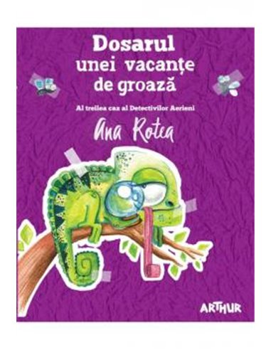 Seria Detectivii Aerieni 3 - Ana Rotea | Editura Arthur