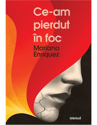 Ce-am pierdut in foc - Mariana Enriquez | Editura Art