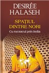 Spatiul dintre nori. Cu rucsacul prin India - Desiree Halaseh | Editura Polirom