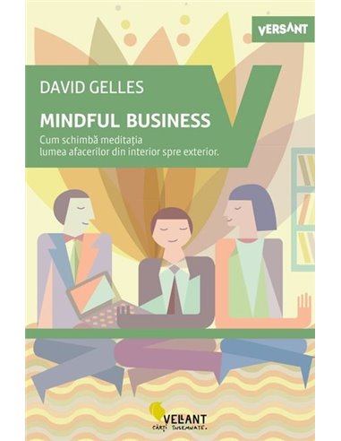 Mindful business - David Gelles | Editura Vellant